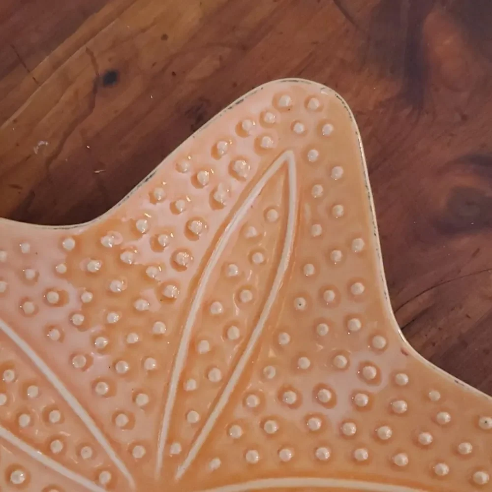 Primitive Artisan Starfish Plate